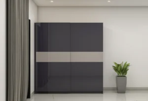 2-door Wardrobe- Dark Grey Dual Tone